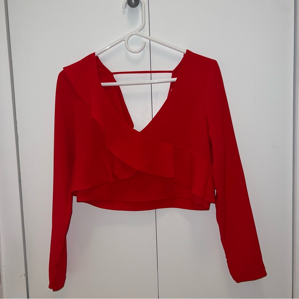 Zara Long Sleeve Crop Top